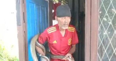 Pendi Ular, Tangkap King Kobra Berat 10 Kilo.